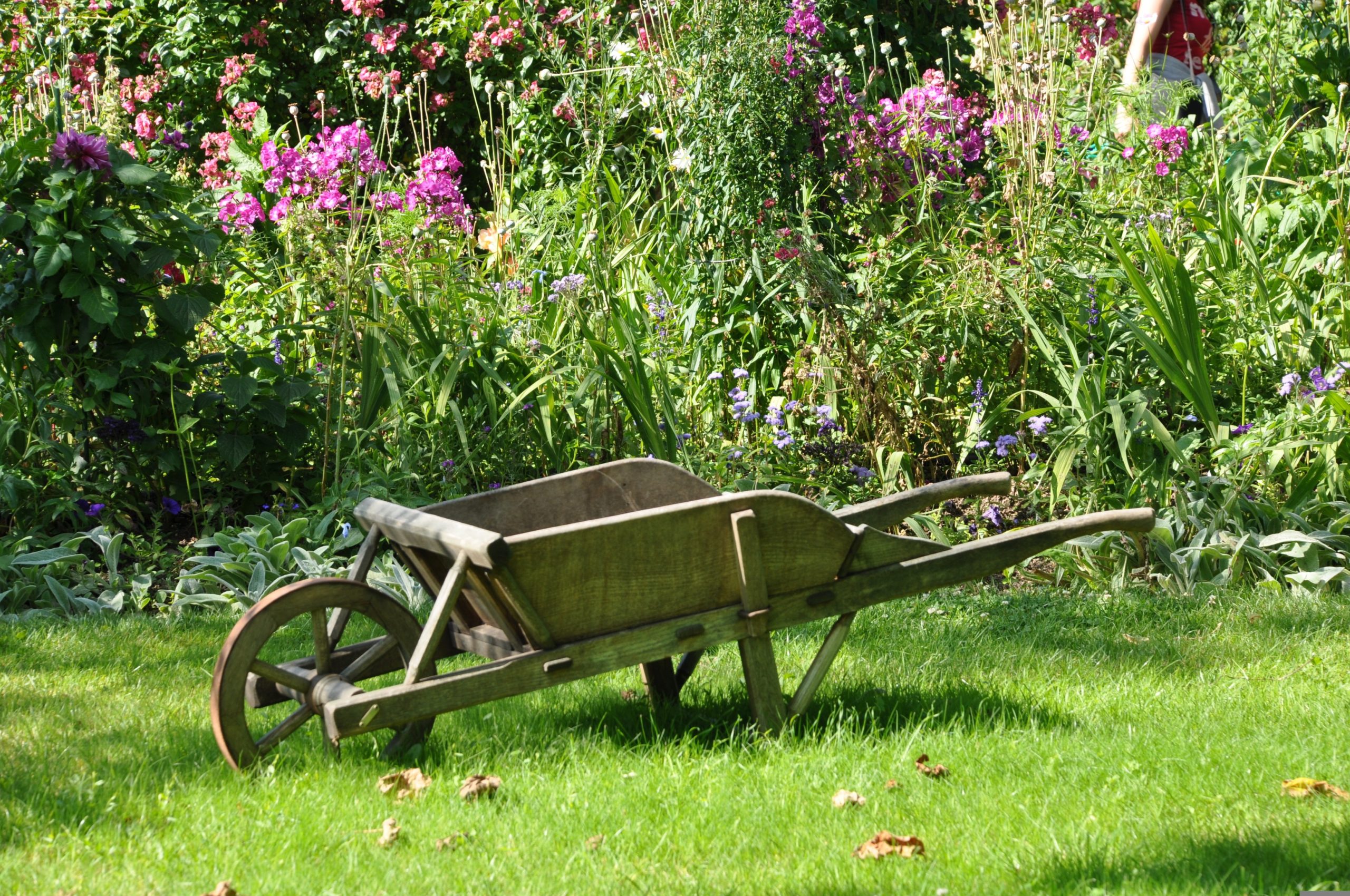 gardening business sussex